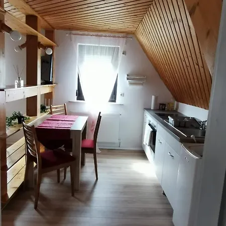 La Casa Suciu Apartment