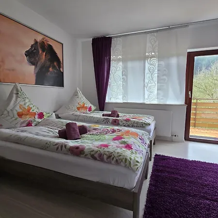 La Casa Suciu 公寓