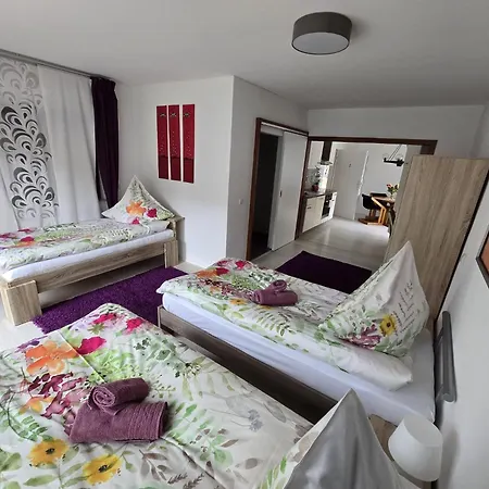 La Casa Suciu Apartment Forchtenberg