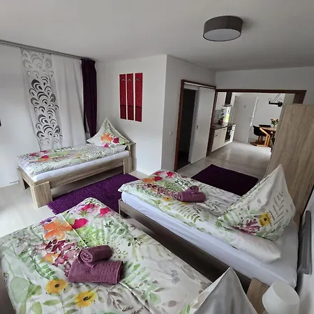 La Casa Suciu *